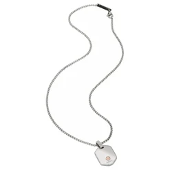 9K-STAINLESS STEEL NECKLACE WITH AN IP ROSE 9KT DETAIL