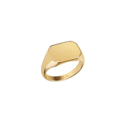 PRIVATE CODE-IP GOLD STEEL RING