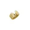 STYLIZE-GOLD-COLORED STEEL RING